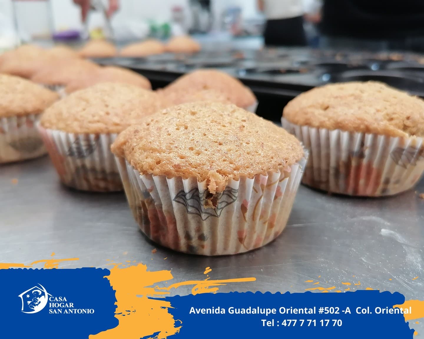 Publicación #8 — imagen 7