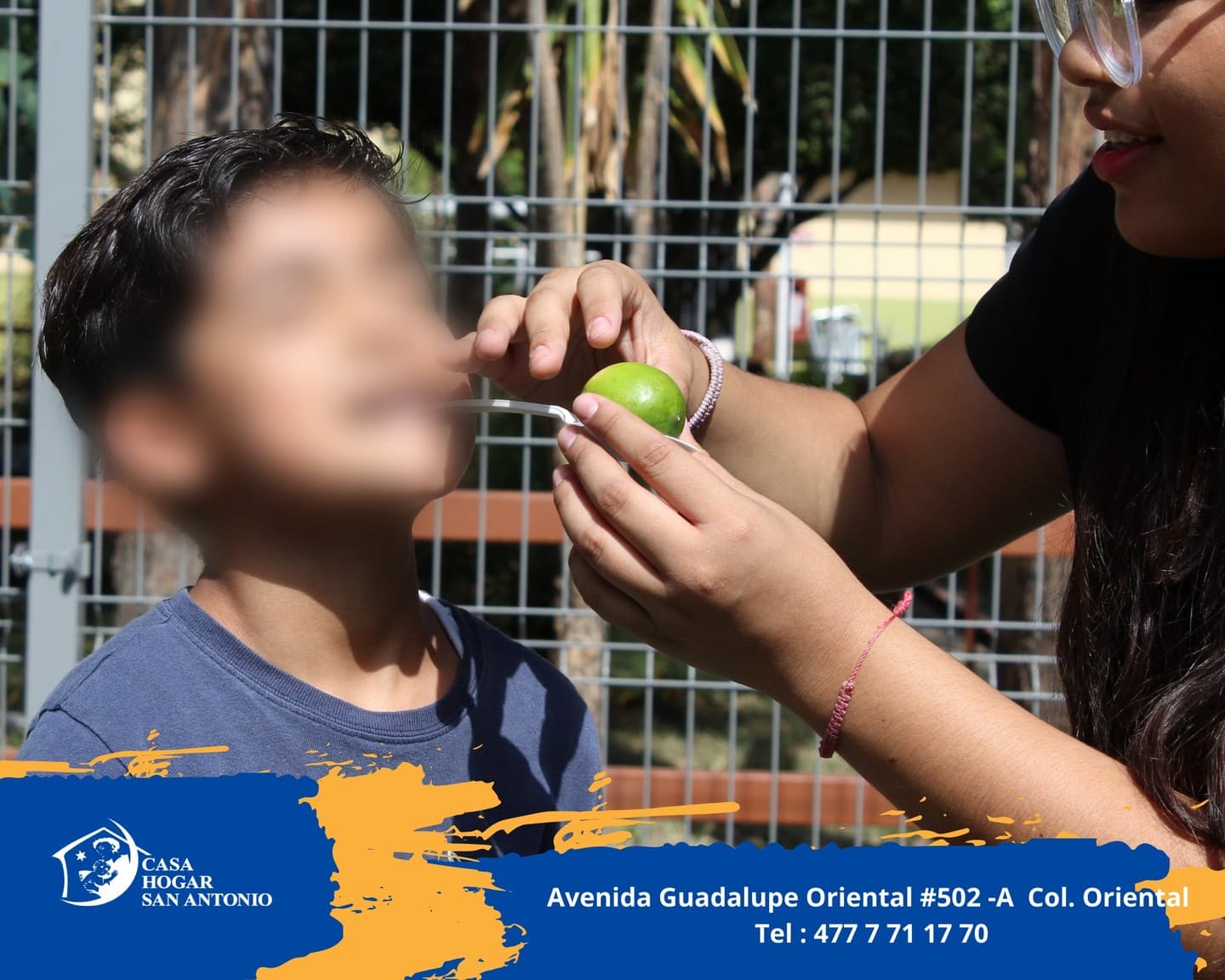 Publicación #25 — imagen 2