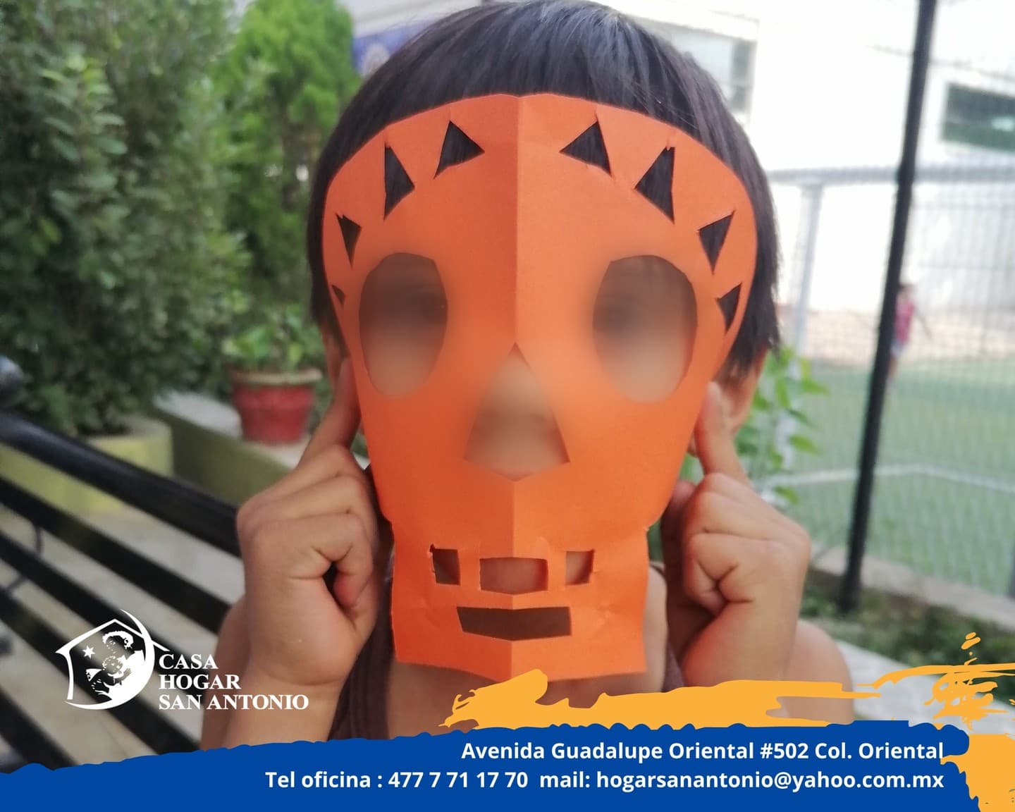 Publicación #44 — imagen 3