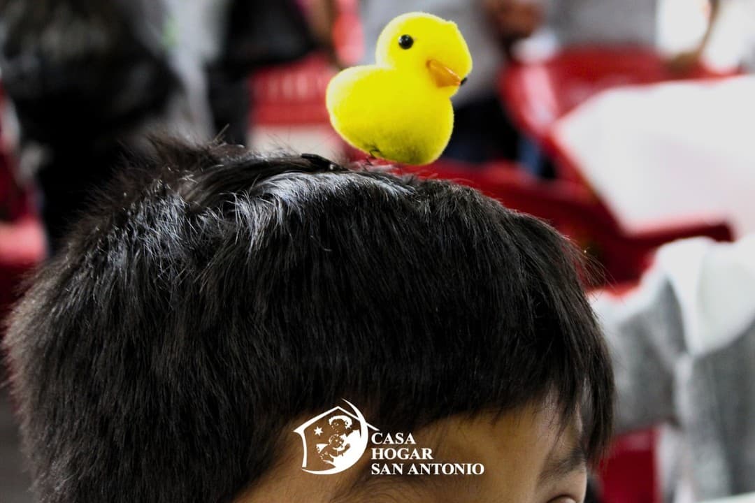 Publicación #52 — imagen 3