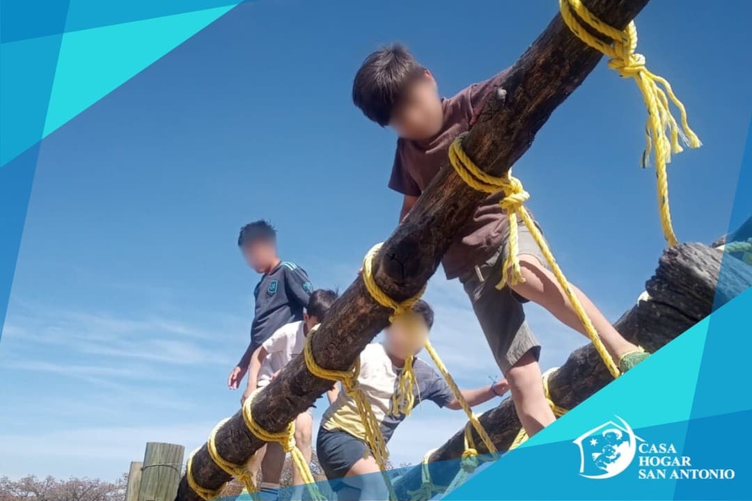 Publicación #60 — imagen 3