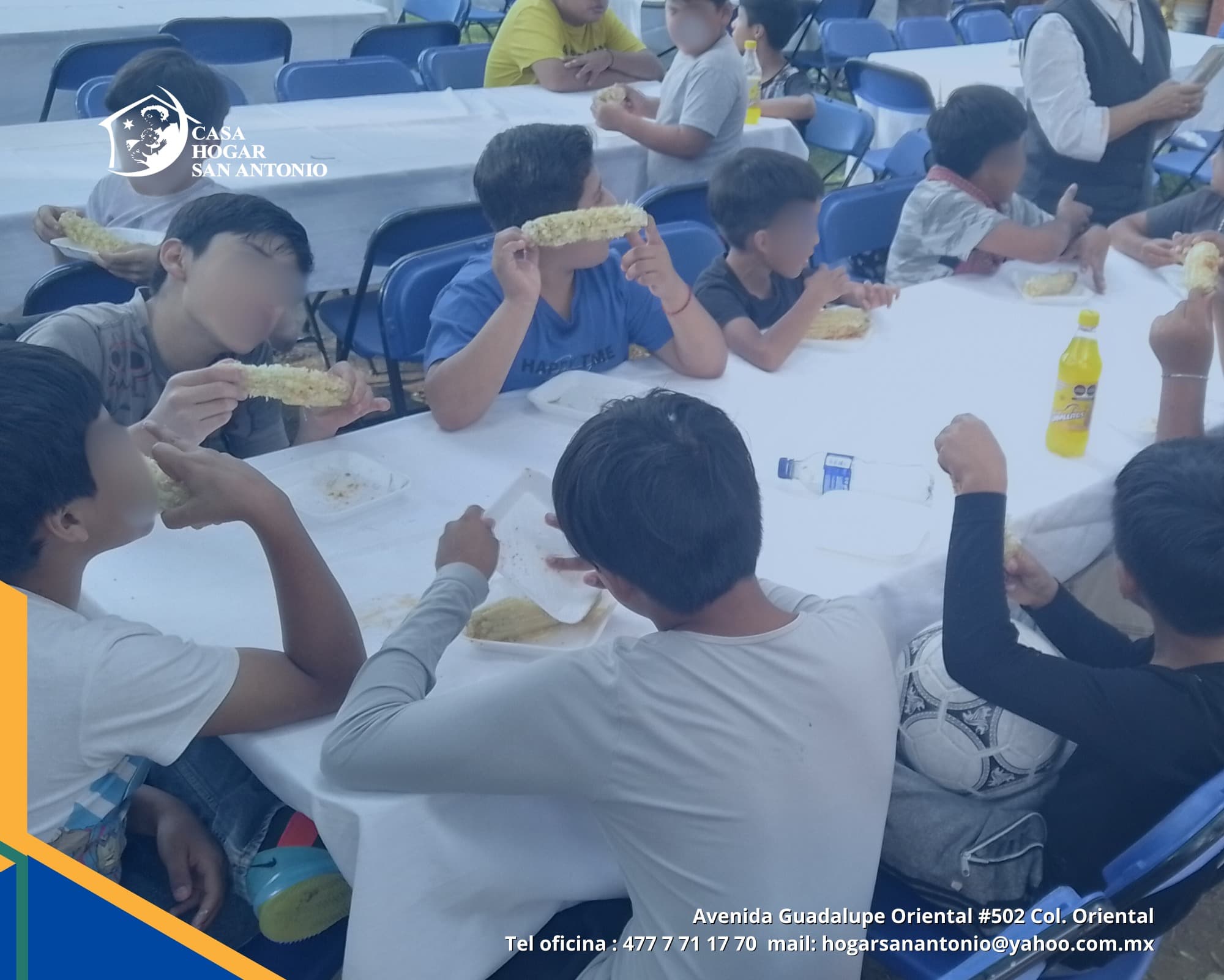 Publicación #91 — imagen 3