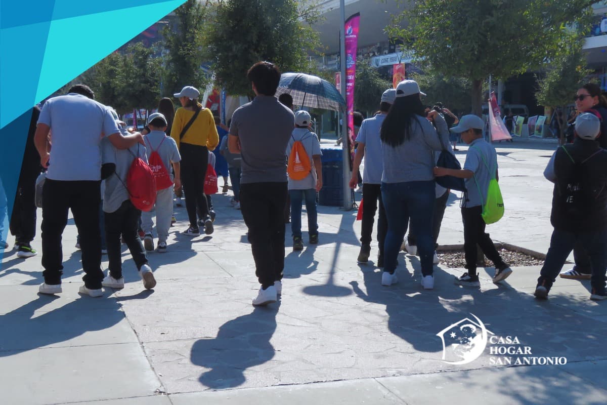 Publicación #116 — imagen 4