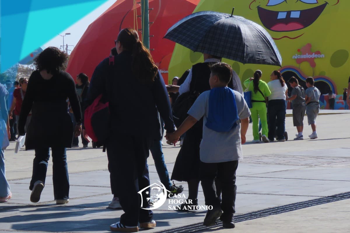 Publicación #116 — imagen 5