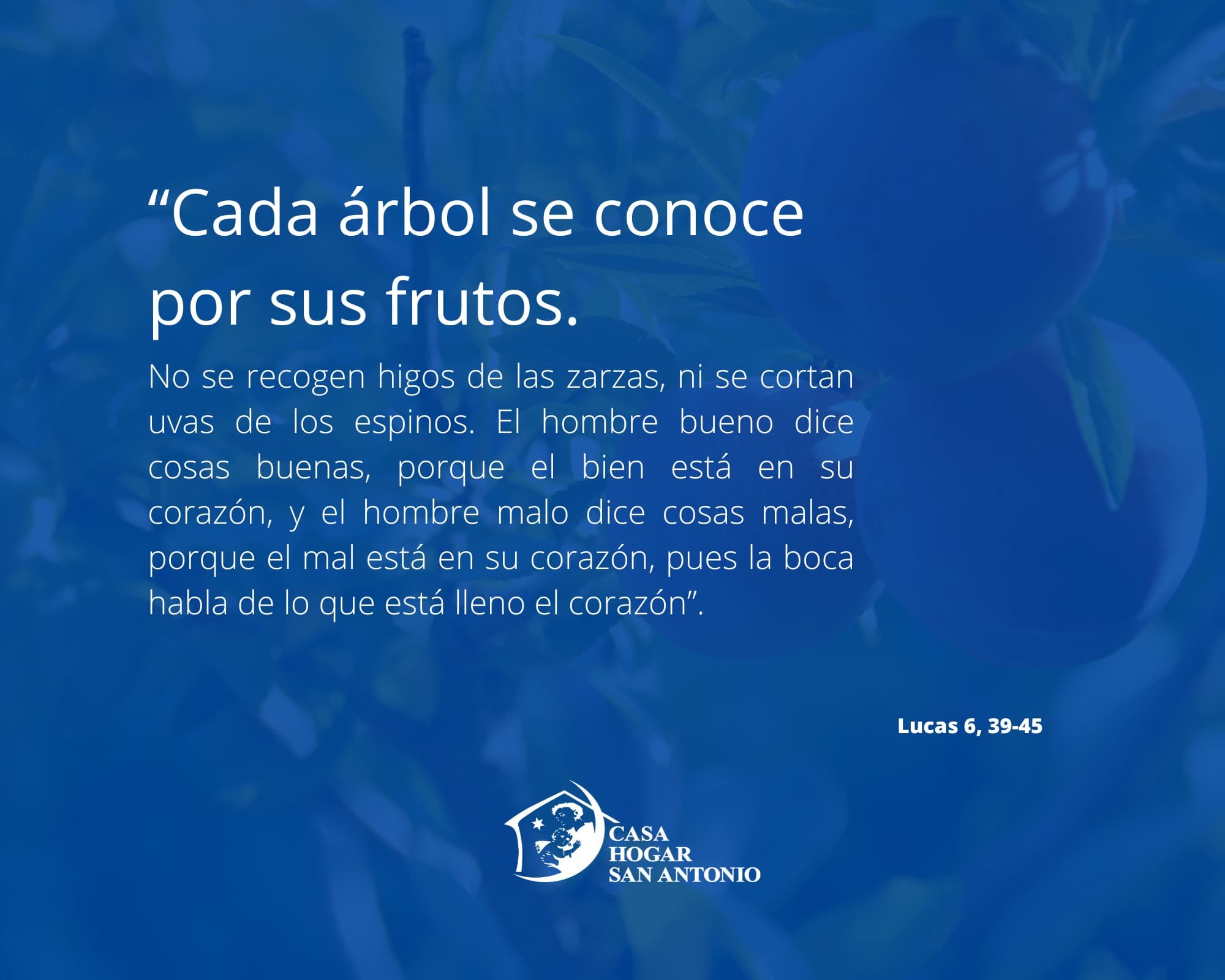 Lectura del santo evangelio según san Lucas