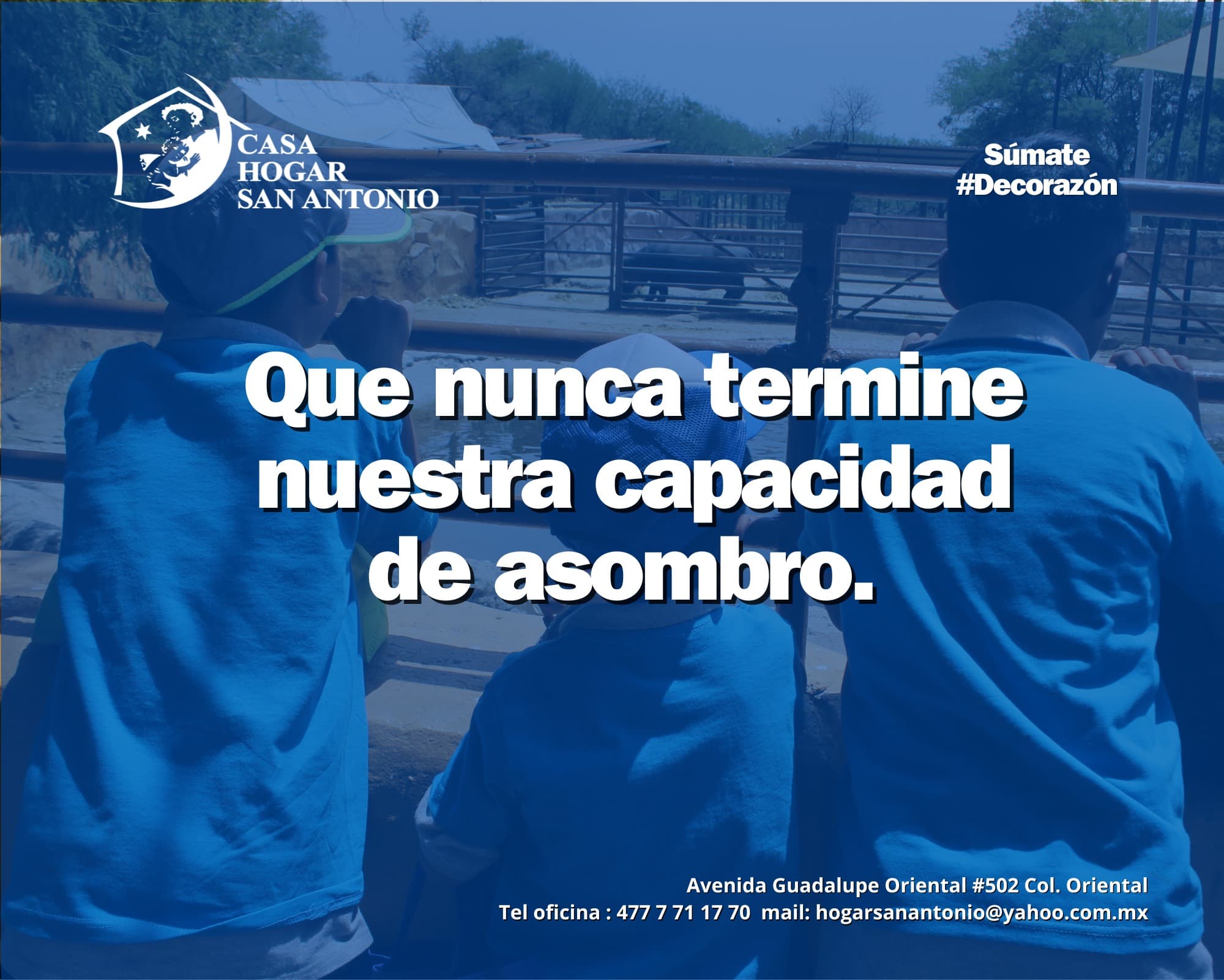 ✨💭 La magia de la capacidad de asombro en los niños 🌟