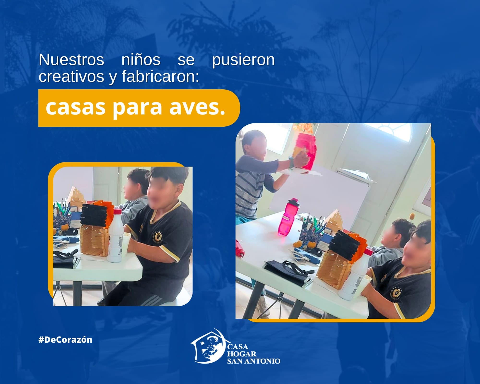 ¡Hacer casas para aves es una actividad divertida, creativa y que ayuda a proteger la naturaleza