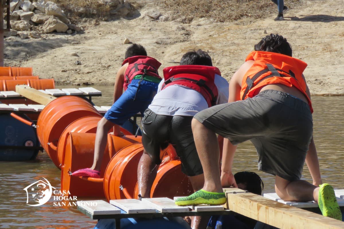 Publicación #167 — imagen 2