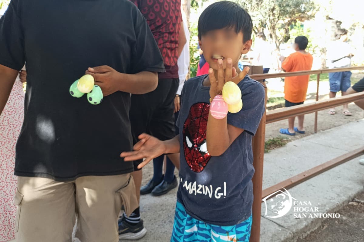 Publicación #172 — imagen 2