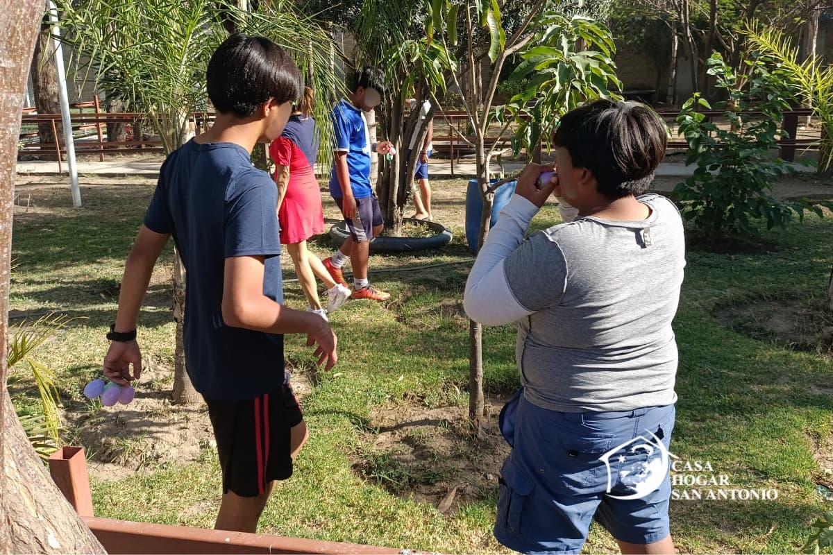 Publicación #172 — imagen 6