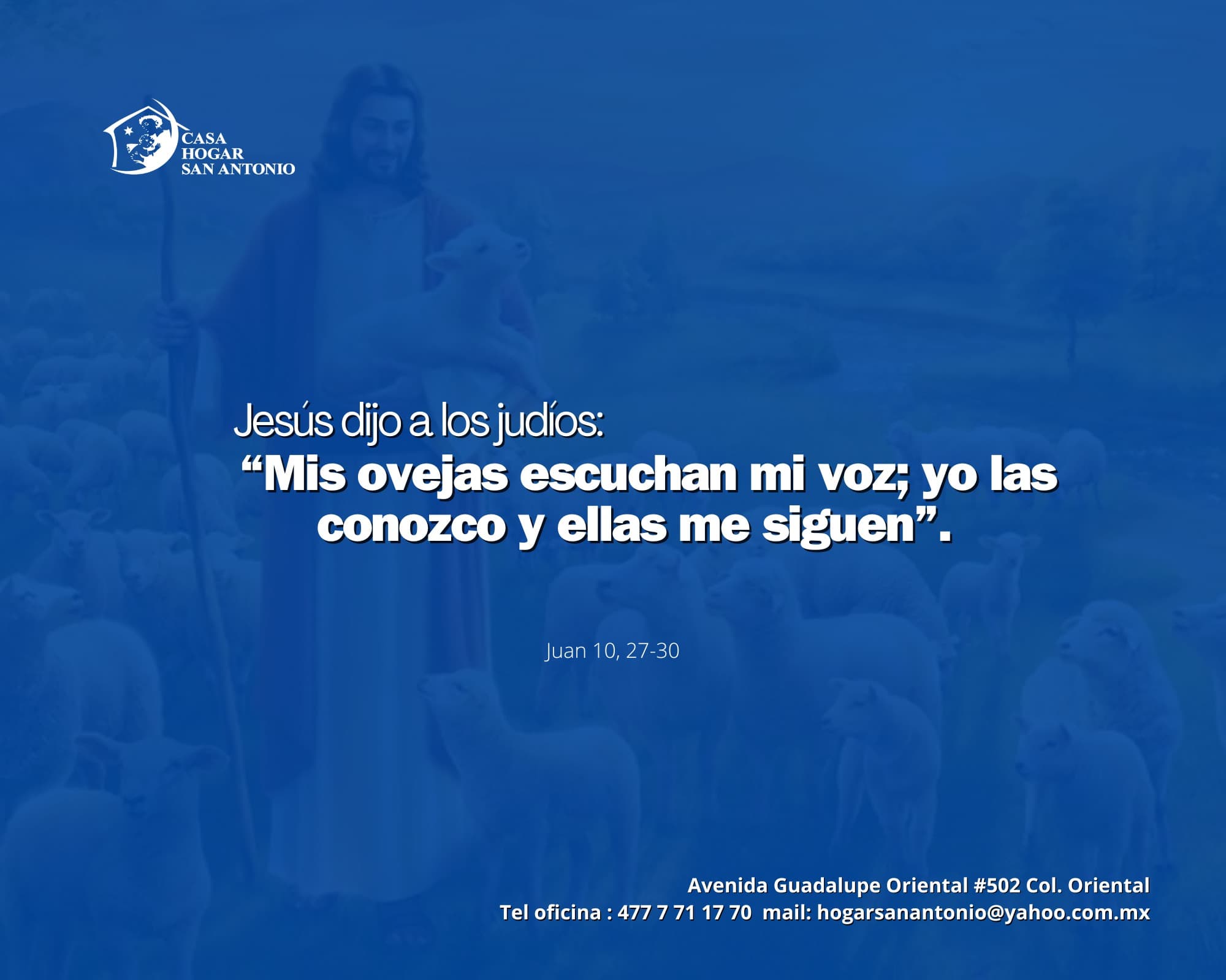 Lectura del santo Evangelio según San Juan