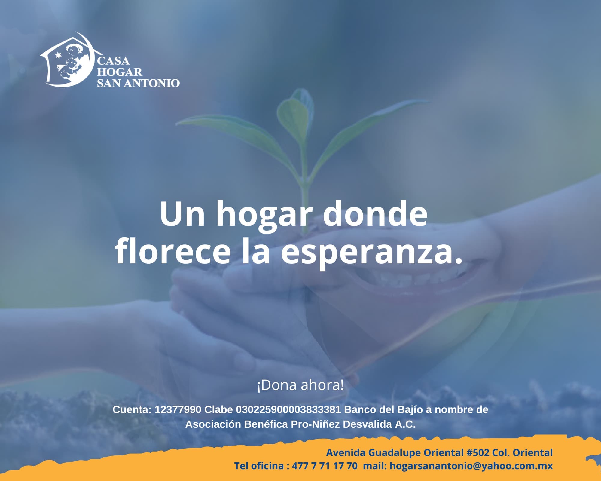 🏡💛 Porque crecer con amor también es un derecho