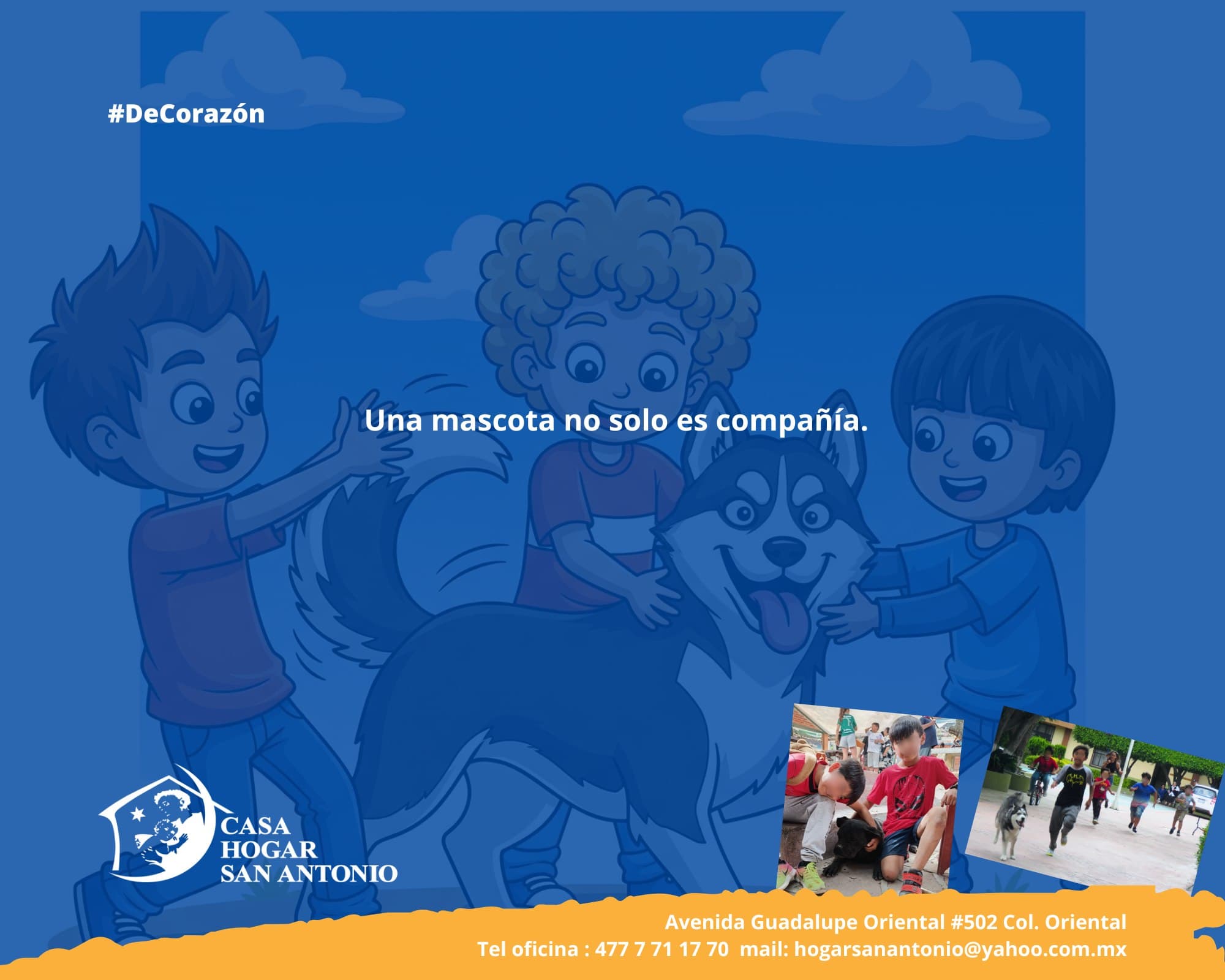 🎈 Una mascota no solo es compañía, también es maestra de vida