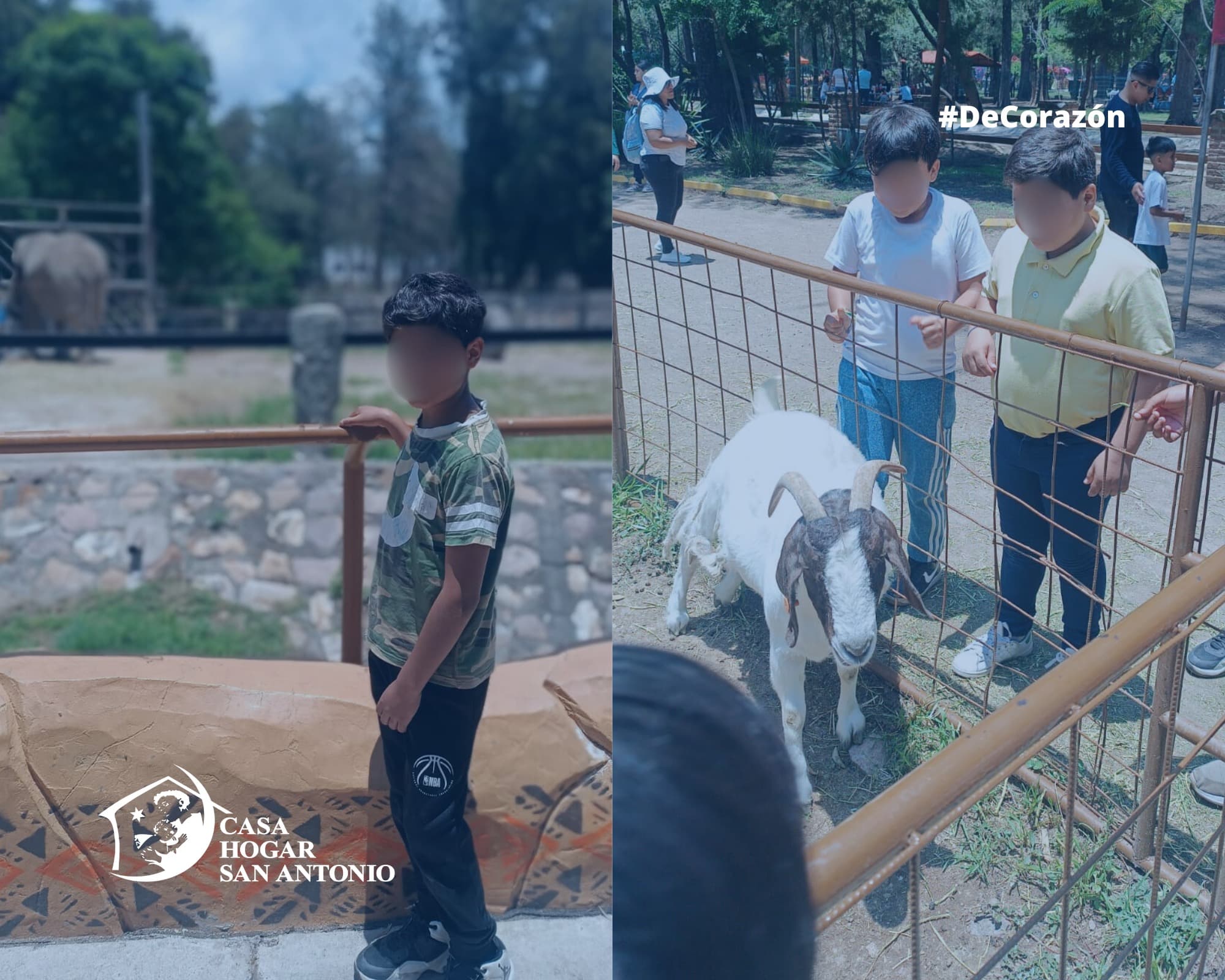 Publicación #239 — imagen 3