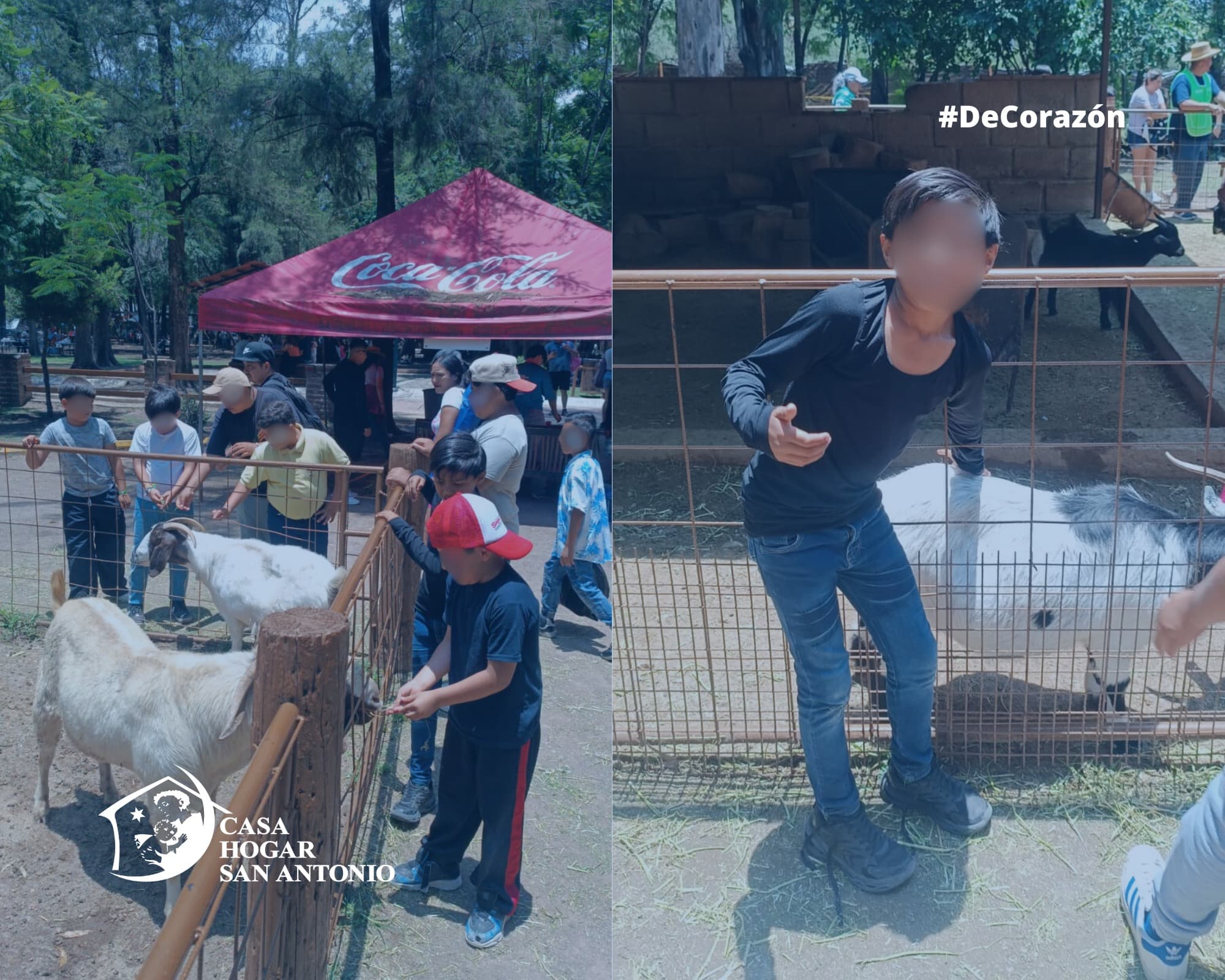 Publicación #239 — imagen 4