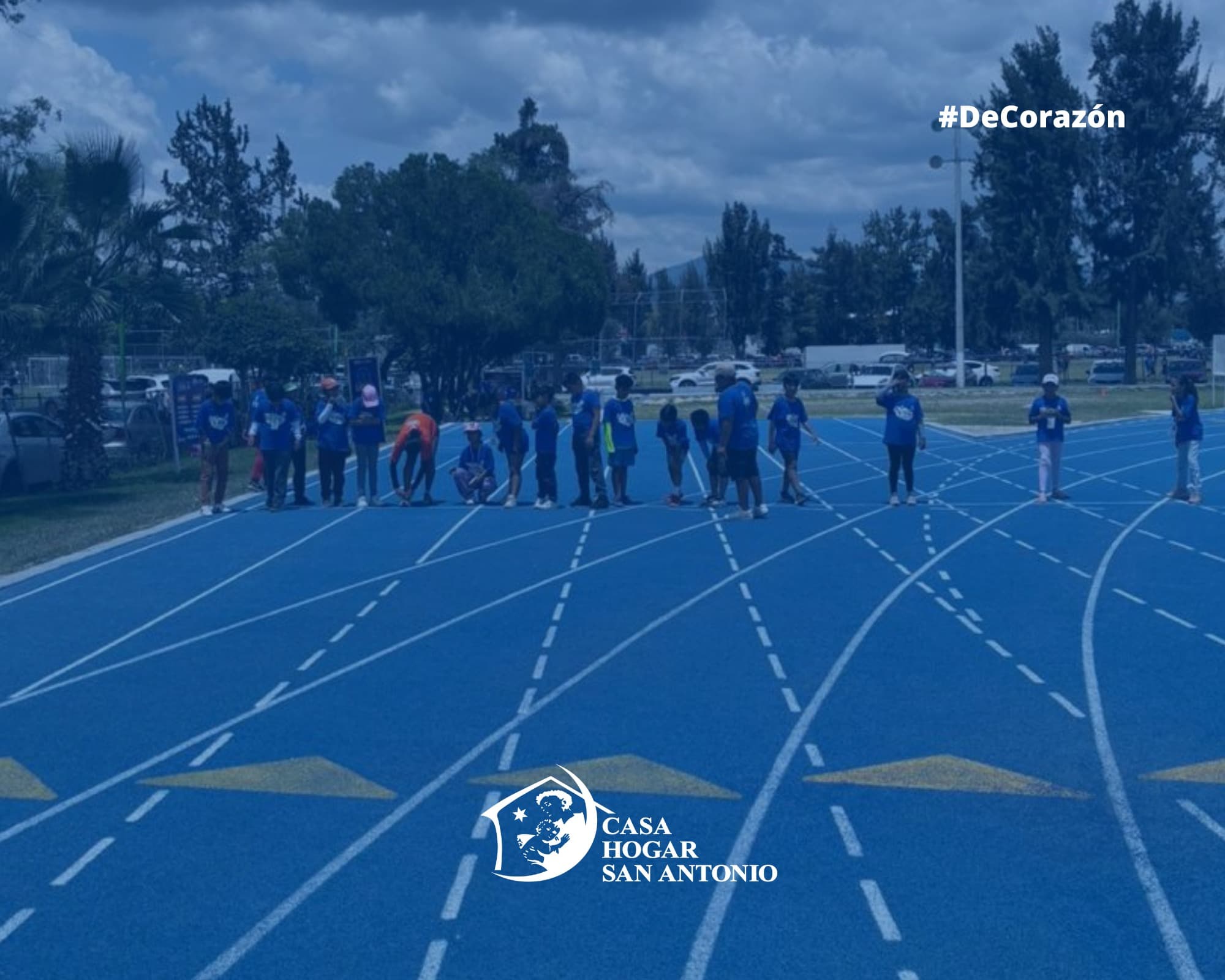 Publicación #245 — imagen 2