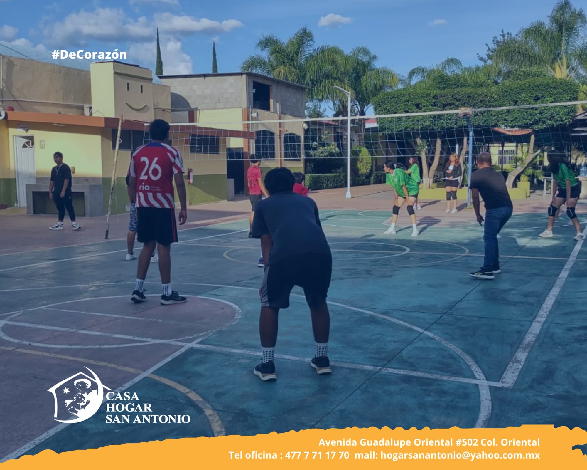 Publicación #255 — imagen 2