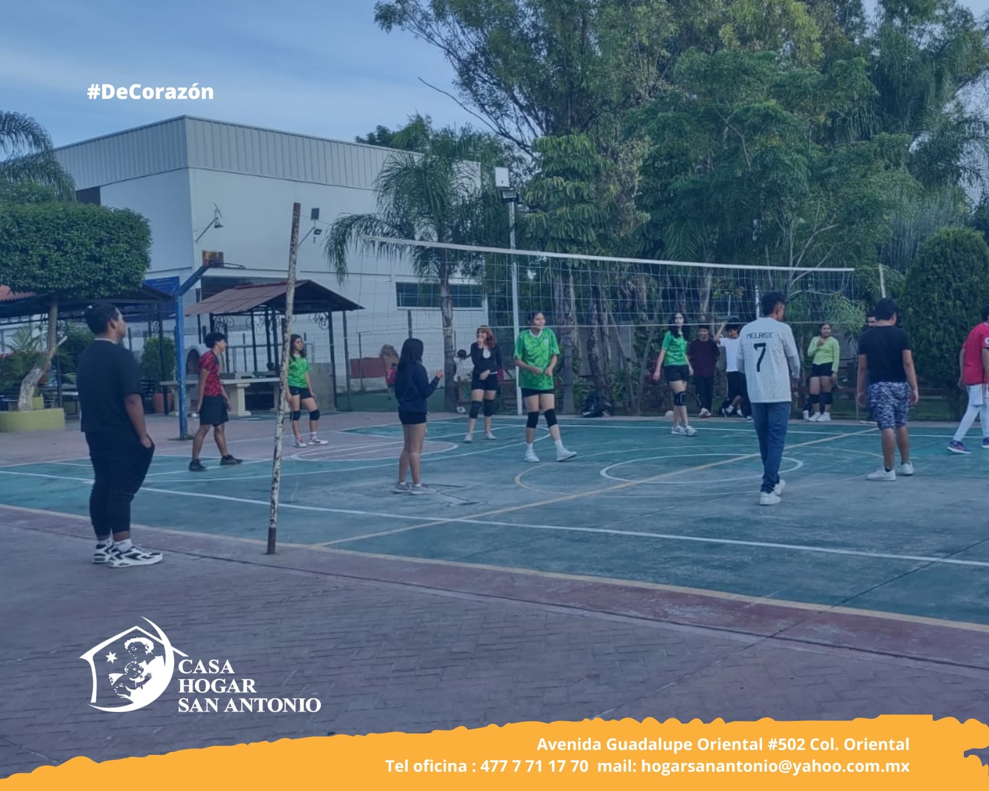 Publicación #255 — imagen 3