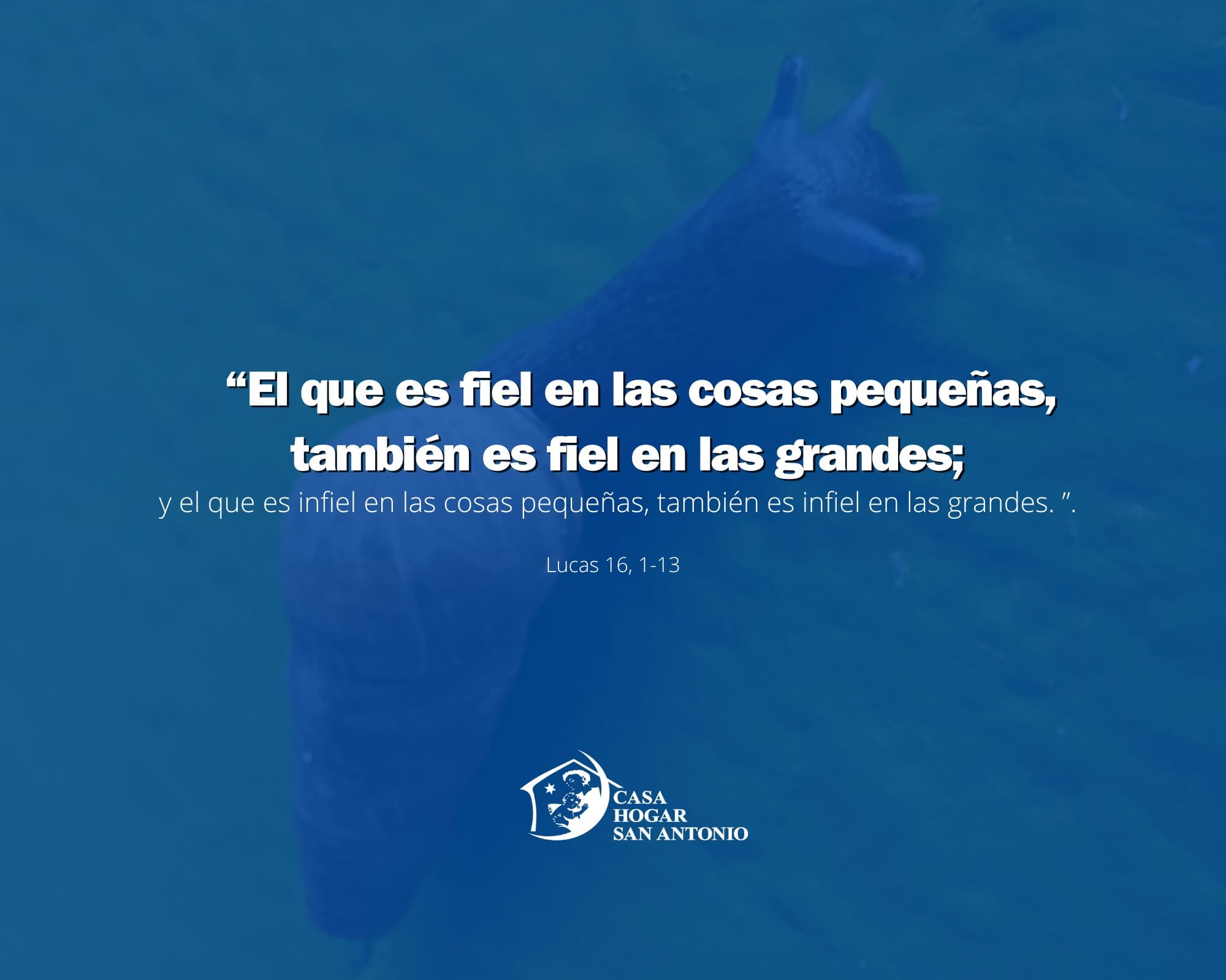 ¡La fidelidad empieza en lo pequeño