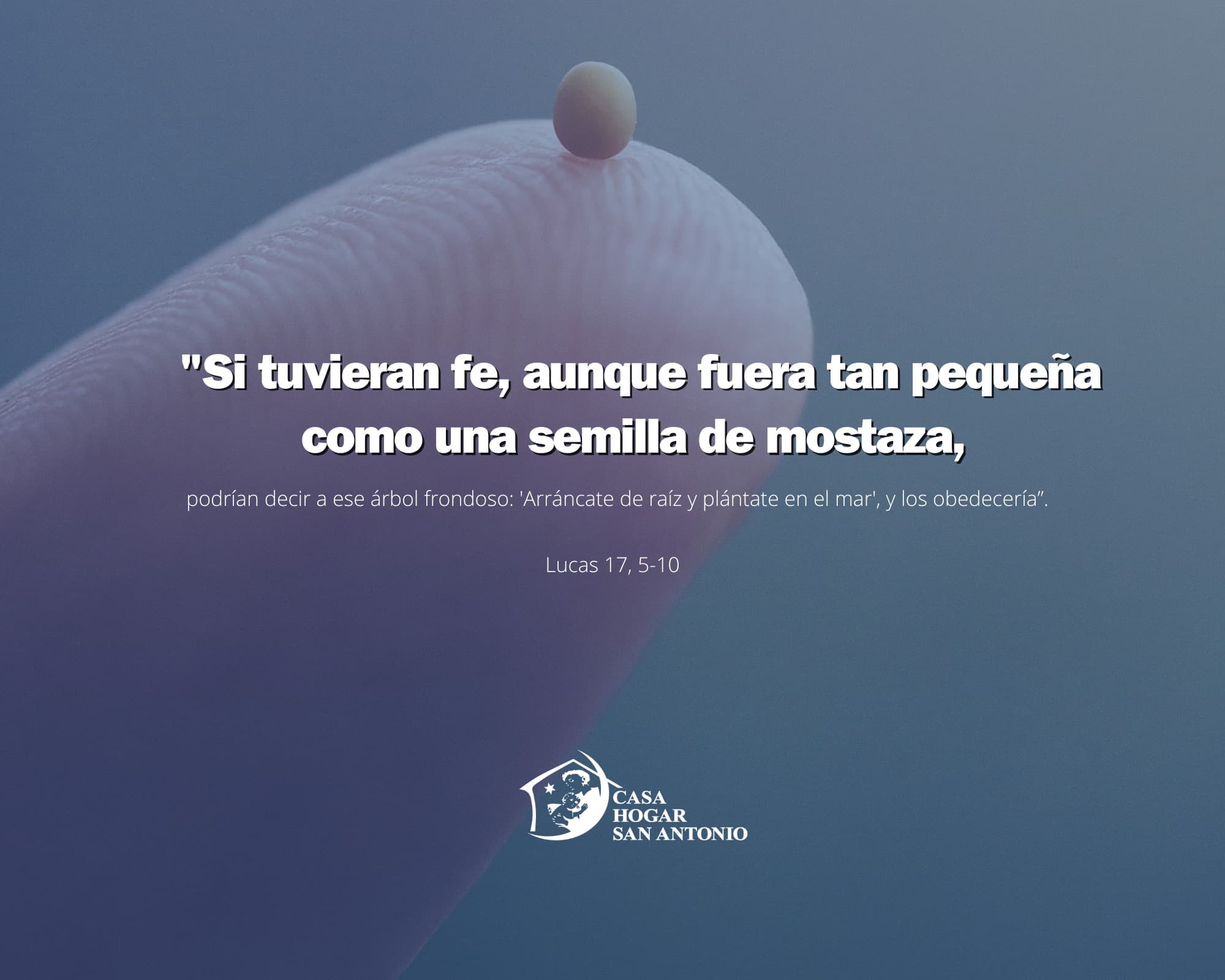 La fe no se mide por su tamaño, sino por la confianza que ponemos en Dios