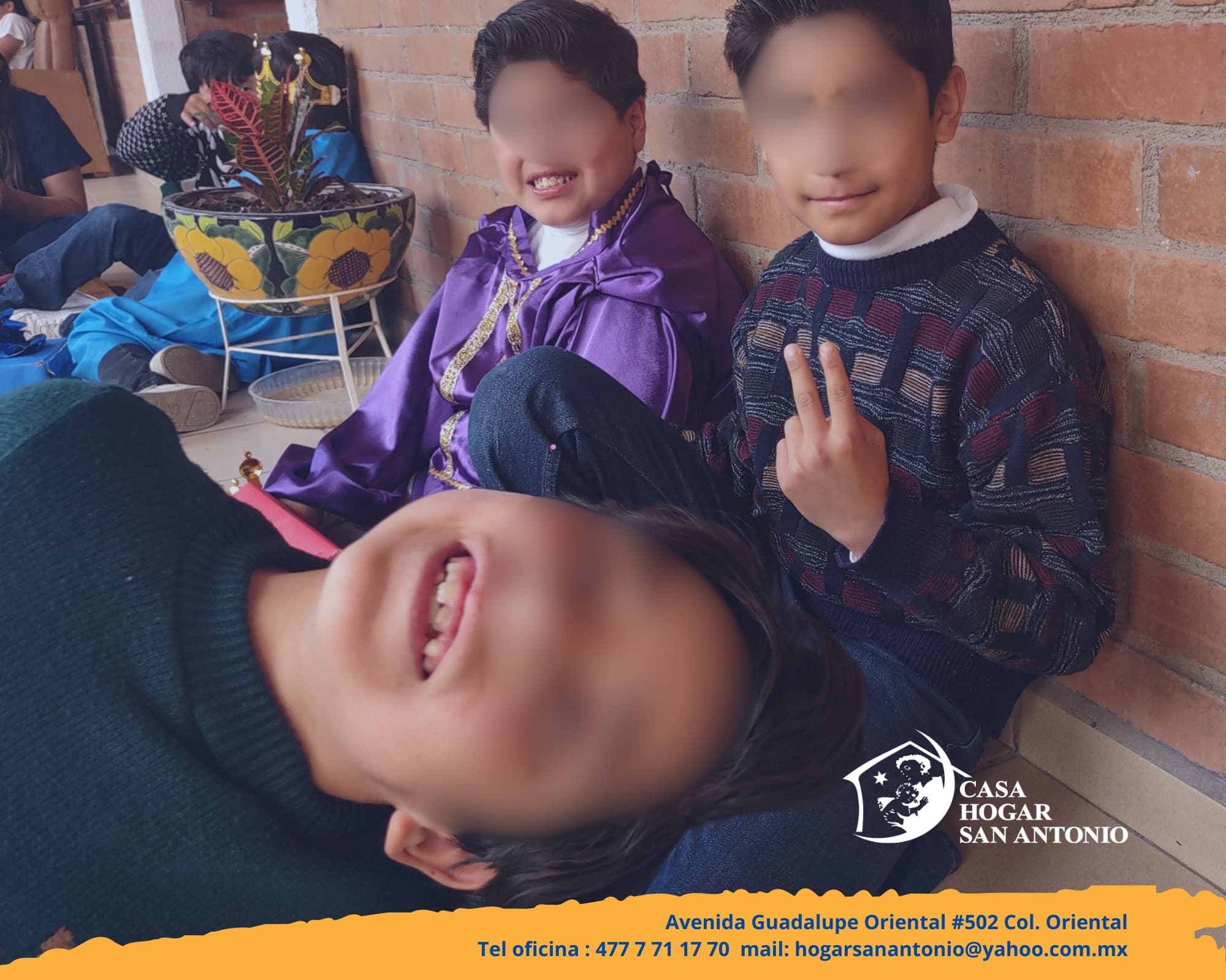 Publicación #317 — imagen 6