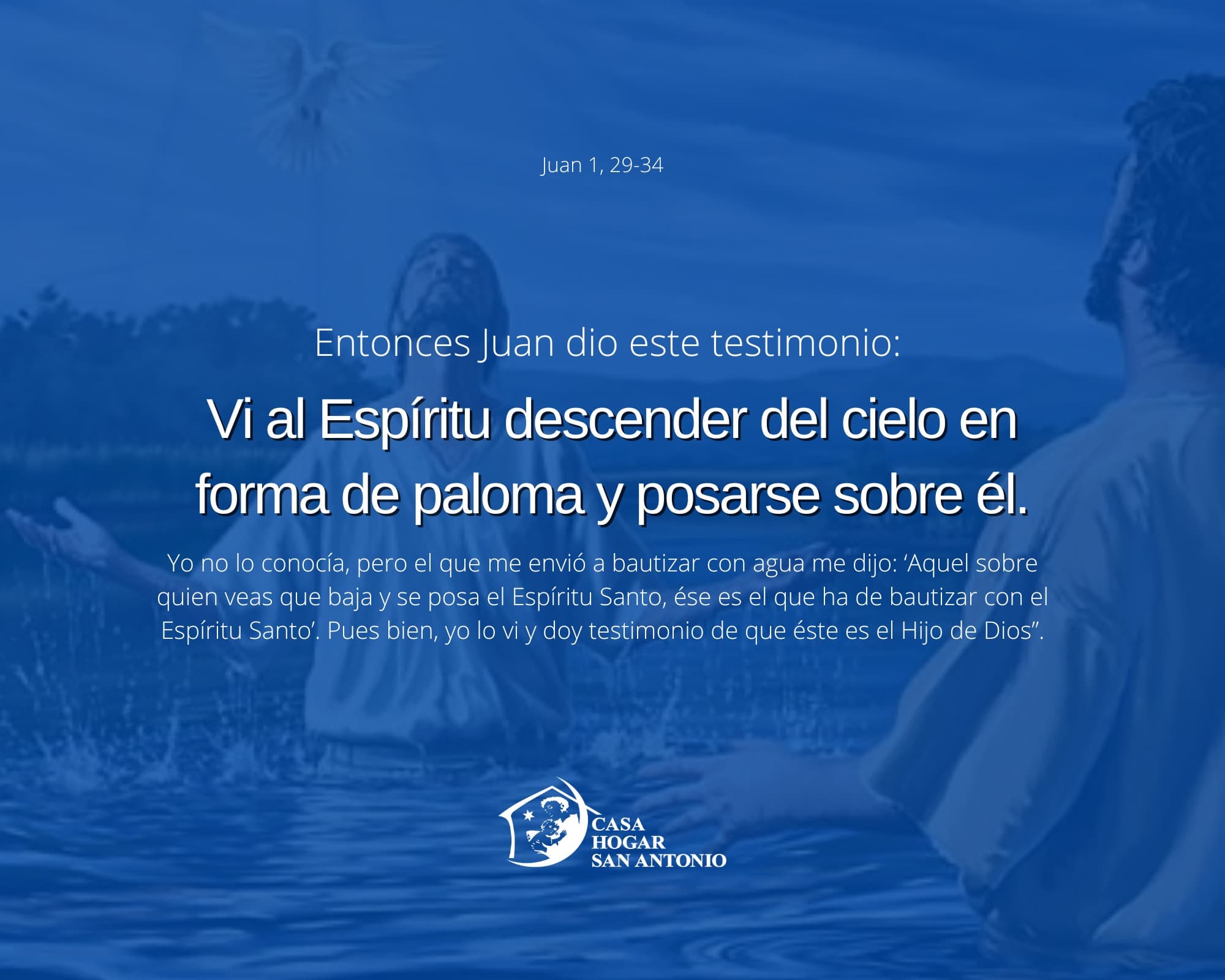 El testimonio de Juan nos enseña que el Espíritu Santo busca corazones sencillos donde poder posarse y permanecer