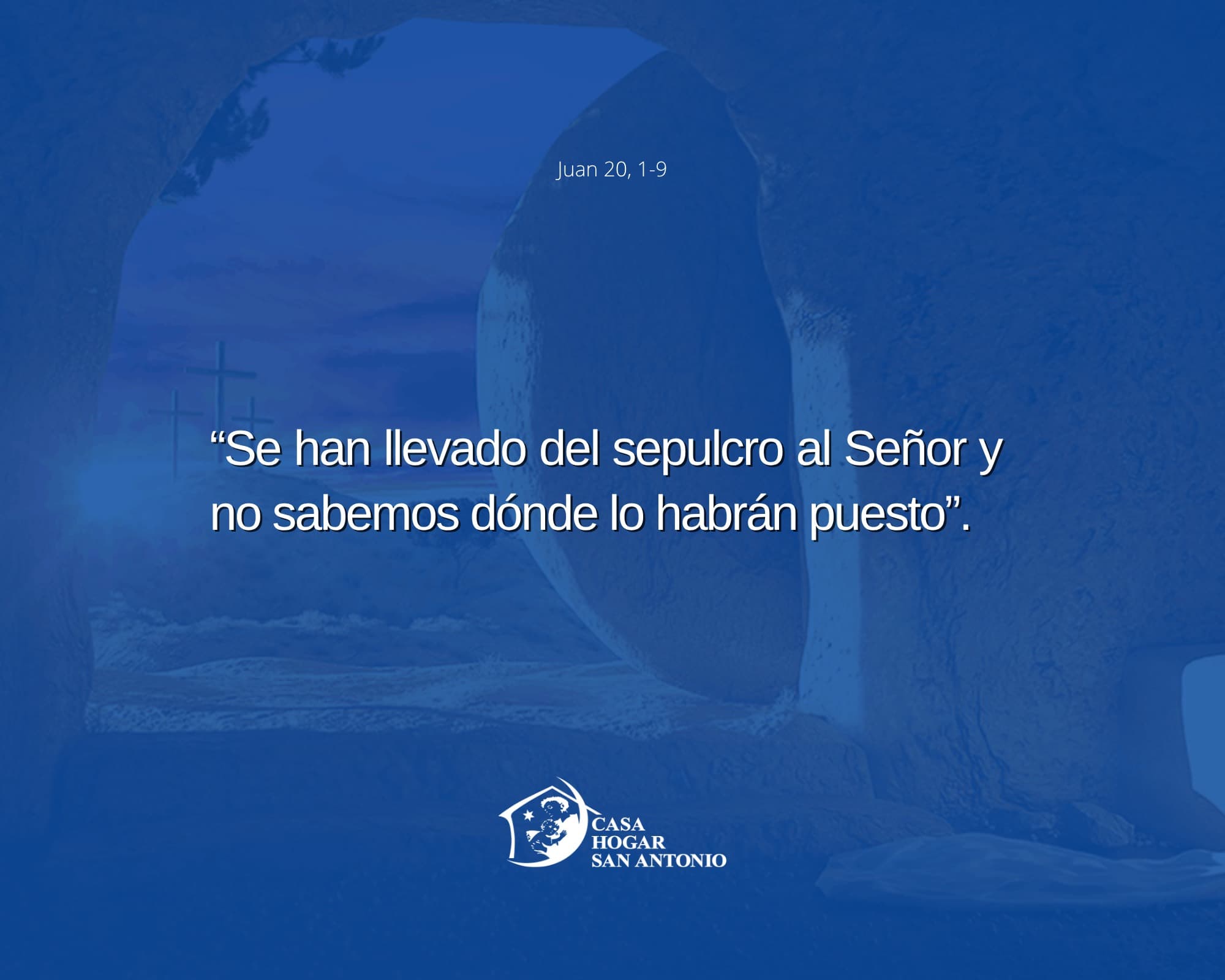 Necesitamos saborear y meditar la alegría después del dolor, reatravesando con esta nueva luz todas las etapas que precedieron la Resurrección